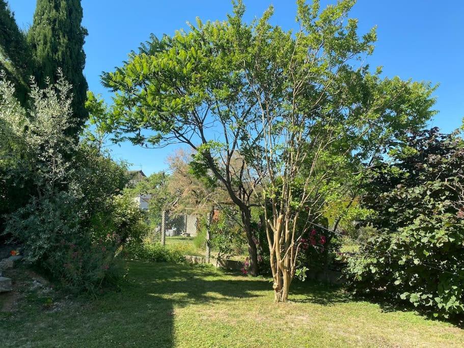 Maison Rez De Jardin Integral Entre Disney & Paris Chelles  Eksteriør billede